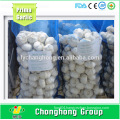 Factory Directly Supply Fresh Garlic with Best Quality